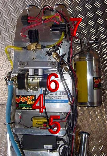 RGTail.jpg (67939 bytes)