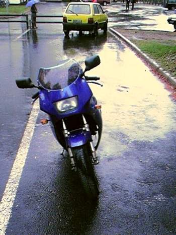 Copy of RG2.jpg (30870 bytes)