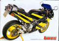Copy of performance_bikes_04_98_00.jpg (89767 bytes)