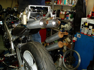 Piperalla.jpg (52255 bytes)