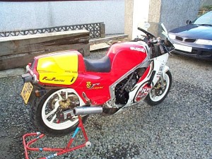 kw2.jpg (35170 bytes)