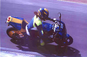 markdruids2_s.jpg (8925 bytes)