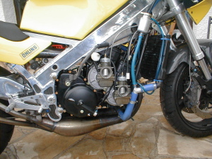 gav4.jpg (50408 bytes)